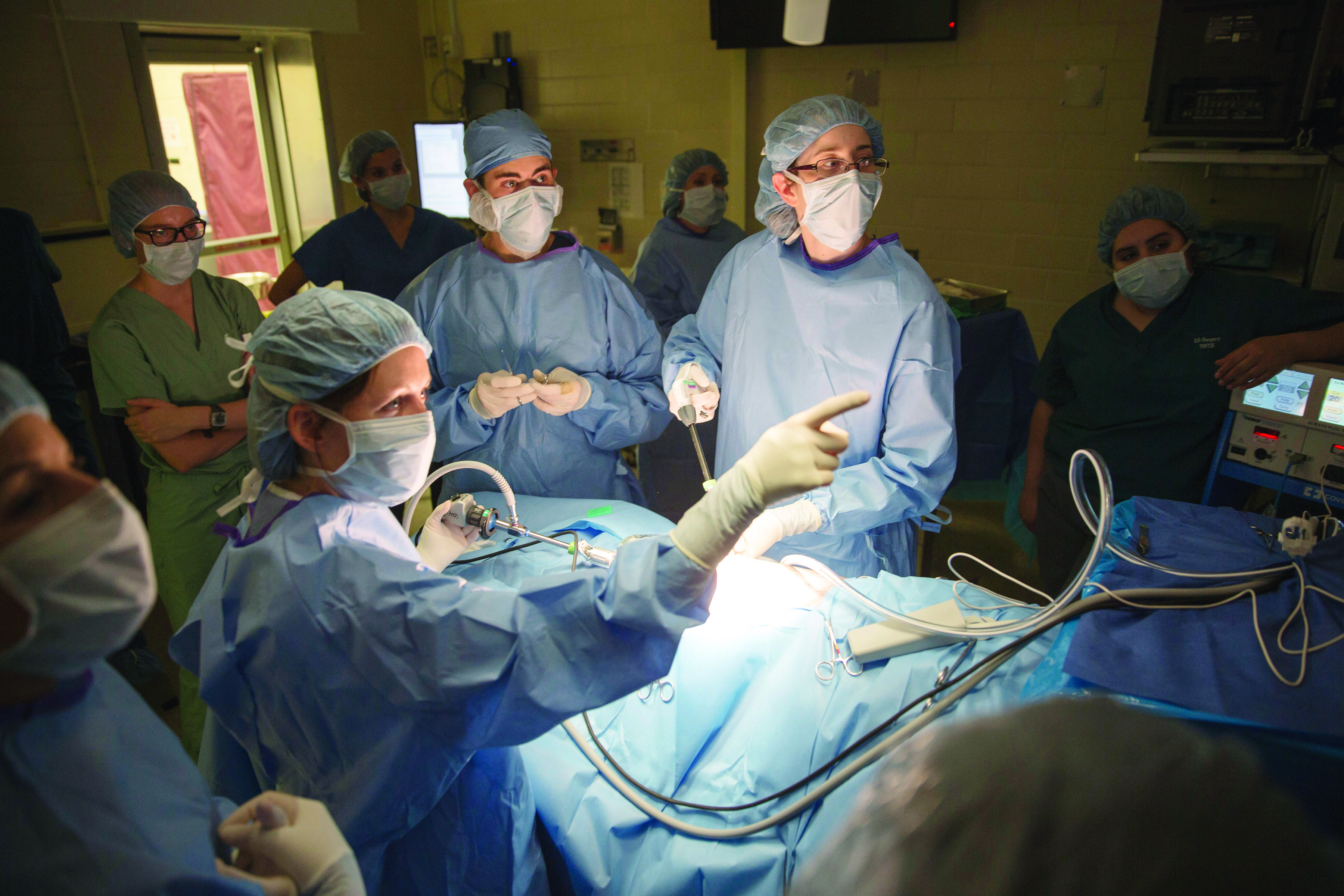 people performing surgery